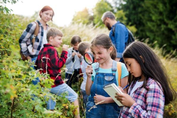 Educational Field trips